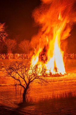 Friuli 'de eski bir Epiphany yangını geleneği. Yaban Domuzu 