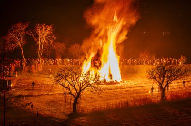 Friuli 'de eski bir Epiphany yangını geleneği. Yaban Domuzu 