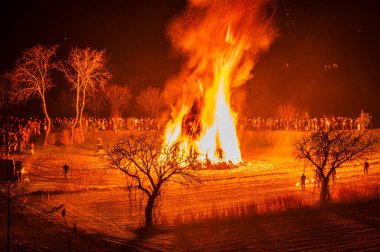 Friuli 'de eski bir Epiphany yangını geleneği. Yaban Domuzu 