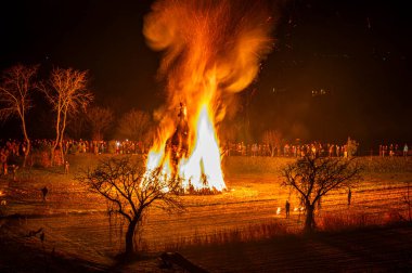 Friuli 'de eski bir Epiphany yangını geleneği. Yaban Domuzu 