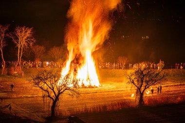 Friuli 'de eski bir Epiphany yangını geleneği. Yaban Domuzu 