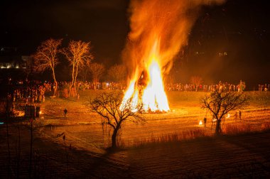 Friuli 'de eski bir Epiphany yangını geleneği. Yaban Domuzu 