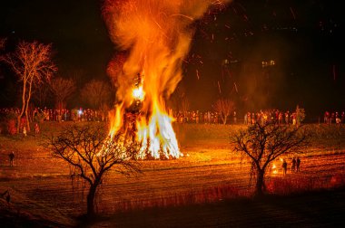 Friuli 'de eski bir Epiphany yangını geleneği. Yaban Domuzu 