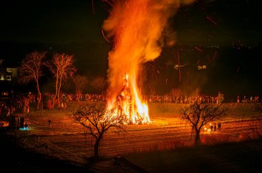 Friuli 'de eski bir Epiphany yangını geleneği. Yaban Domuzu 