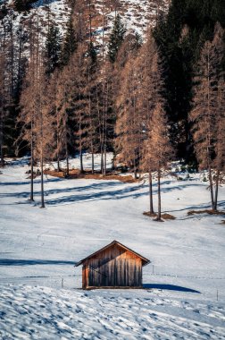 Val Fiscalina, Güney Tyrol 'da karla kaplı dağ tepesindeki ahşap ev manzarası
