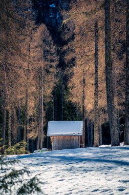 Val Fiscalina, Güney Tyrol 'da karla kaplı dağ tepesindeki ahşap ev manzarası