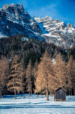 Val Fiscalina, Güney Tyrol 'da karla kaplı dağ tepesindeki ahşap ev manzarası