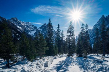 Güzel manzara, vadi Val Fiscalina