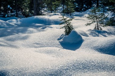 Güney Tyrol, Val Fiscalina 'daki dağ tepesi karla kaplıydı.
