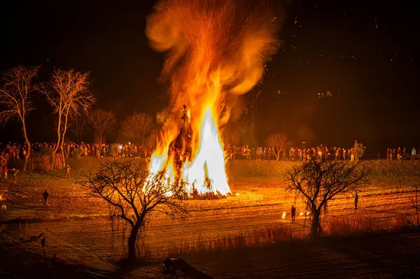Friuli 'de eski bir Epiphany yangını geleneği. Yaban Domuzu 
