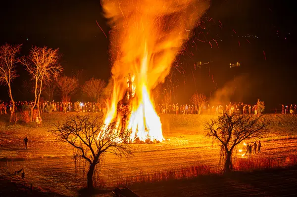 Friuli 'de eski bir Epiphany yangını geleneği. Yaban Domuzu 