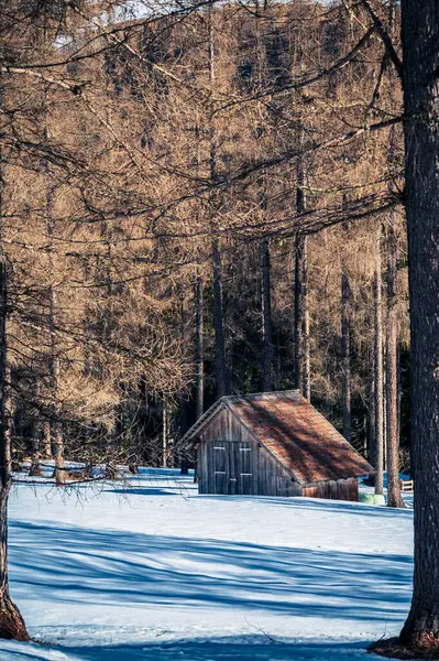 stock image View of wooden house on snow covered mountain hill at Val Fiscalina, South Tyrol