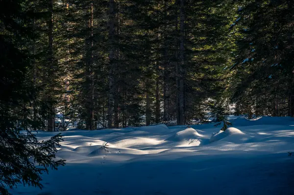 Güney Tyrol, Val Fiscalina 'daki dağ tepesi karla kaplıydı.