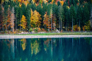 Mountain lake during autumn season in Alto Friuli, Val Raccolana clipart