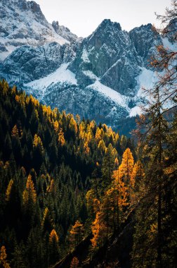 Val Sesis Vadisi, Cima Sappada 'dan başlıyor.