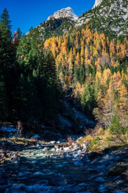 Val Sesis Vadisi, Cima Sappada 'dan başlıyor.