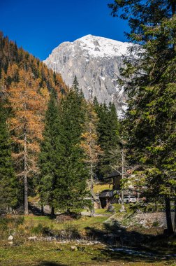 Val Sesis Vadisi, Cima Sappada 'dan başlıyor.