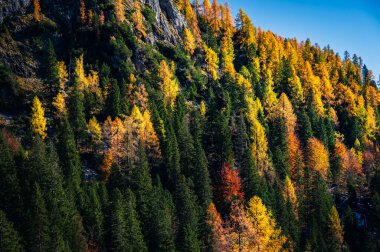 Val Sesis Vadisi, Cima Sappada 'dan başlıyor.