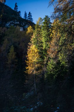 Val Sesis valley, starting from Cima Sappada clipart