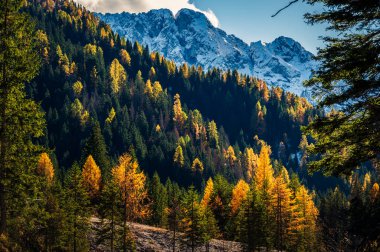 Val Sesis Vadisi, Cima Sappada 'dan başlıyor.