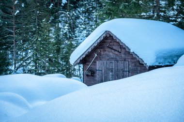Riofreddo Vadisi. Tarvisio bölgesindeki karlı arazinin büyüsü
