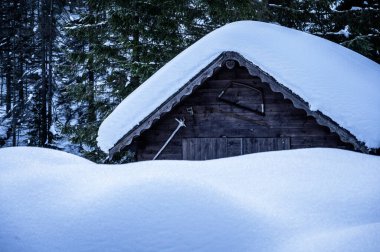 Riofreddo Vadisi. Tarvisio bölgesindeki karlı arazinin büyüsü