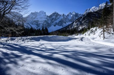 Riofreddo Valley. Magic of the snowy landscape in the Tarvisio area clipart