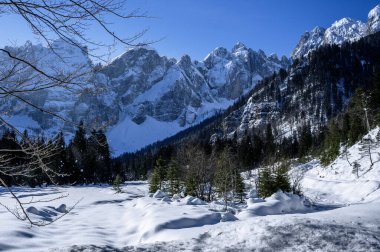 Riofreddo Vadisi. Tarvisio bölgesindeki karlı arazinin büyüsü