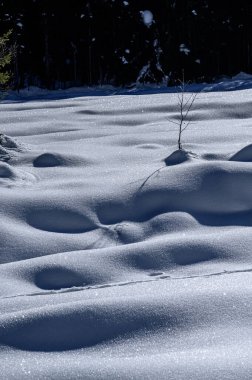 Riofreddo Vadisi. Tarvisio bölgesindeki karlı arazinin büyüsü