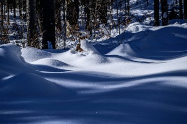 Riofreddo Vadisi. Tarvisio bölgesindeki karlı arazinin büyüsü