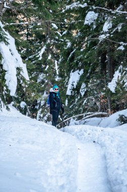 Sauris 'teki Antik Dağ Köyü' ndeki kilise. güzel manzara 