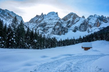 Riofreddo Vadisi. Tarvisio bölgesindeki karlı arazinin büyüsü