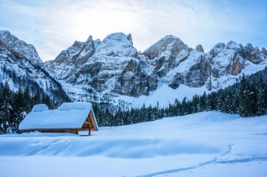 Riofreddo Vadisi. Tarvisio bölgesindeki karlı arazinin büyüsü