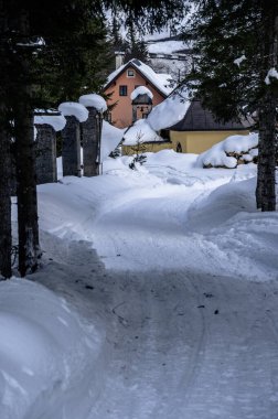 Riofreddo Valley. Magic of the snowy landscape in the Tarvisio area clipart