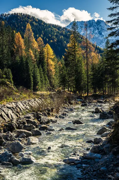 stock image Val Sesis valley, starting from Cima Sappada