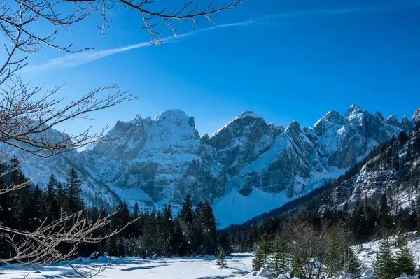 Riofreddo Vadisi. Tarvisio bölgesindeki karlı arazinin büyüsü