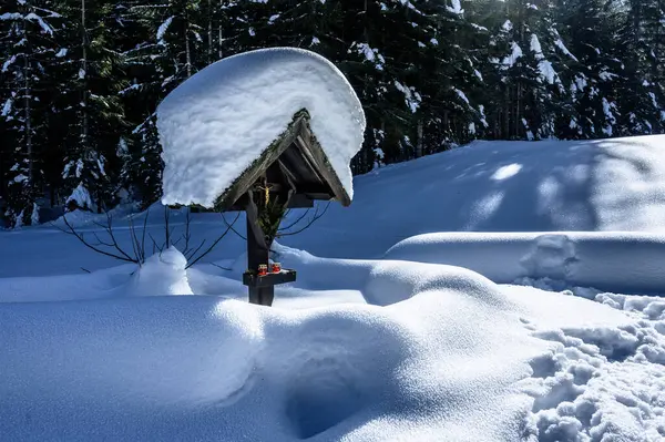 Riofreddo Vadisi. Tarvisio bölgesindeki karlı arazinin büyüsü