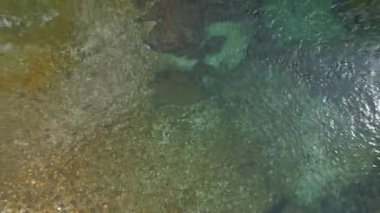 Torre Torrent ve Crtosis hidroelektrik barajı tarafından oyulmuş bir vadi. Tarcento