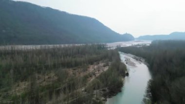 Tagliamento Nehri, Flagogna, İtalya. Avrupa nehirlerinin kralı 