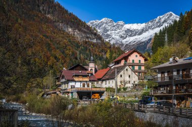 Sonbahar Collina ve Forni Avoltri. Dağlardaki orman ağaçları. Julian Alps ve Fontanone di Goriuda