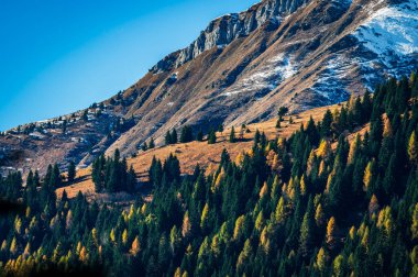 Sonbahar Collina ve Forni Avoltri. Dağlardaki orman ağaçları. Julian Alps ve Fontanone di Goriuda