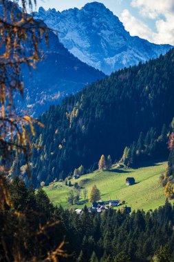 Sonbahar Collina ve Forni Avoltri. Köy evleri. Julian Alps ve Fontanone di Goriuda