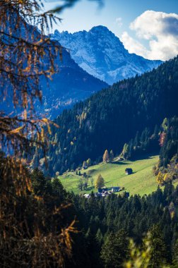 Sonbahar Collina ve Forni Avoltri. Köy evleri. Julian Alps ve Fontanone di Goriuda