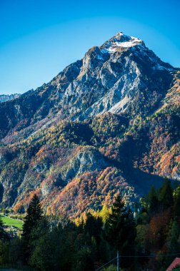 Sonbahar Collina ve Forni Avoltri. Dağlardaki orman ağaçları. Julian Alps ve Fontanone di Goriuda