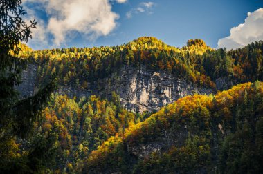 Val Raccolana 'da sonbahar. Dağlardaki orman ağaçları. Julian Alps ve Fontanone di Goriuda
