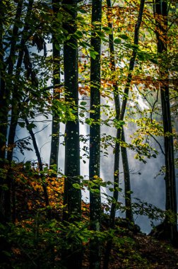 Autumn in Val Raccolana. Waterfalls and streams. Julian Alps and Fontanone di Goriuda clipart