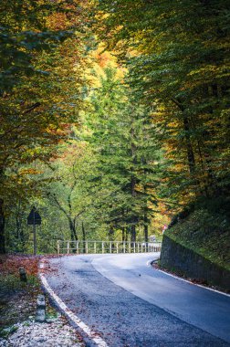 Val Raccolana 'da sonbahar. Dağların etrafındaki orman ağaçlarında yol. Julian Alps ve Fontanone di Goriuda