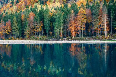 Val Raccolana 'da sonbahar. Dağların etrafındaki orman ağaçlarında göl. Julian Alps ve Fontanone di Goriuda