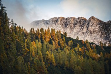 Val Raccolana 'da sonbahar. Dağlardaki orman ağaçları. Julian Alps ve Fontanone di Goriuda