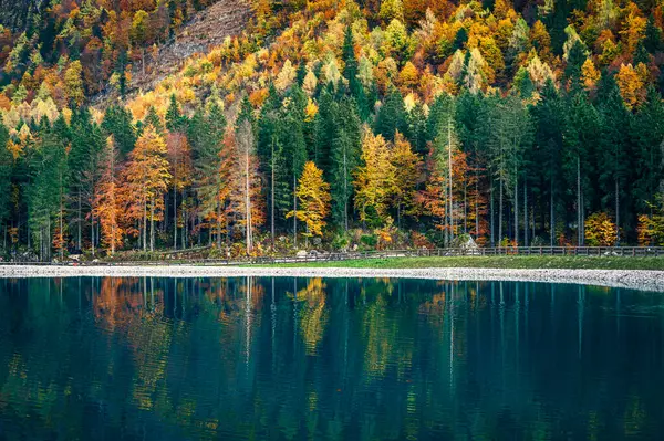 Val Raccolana 'da sonbahar. Dağların etrafındaki orman ağaçlarında göl. Julian Alps ve Fontanone di Goriuda